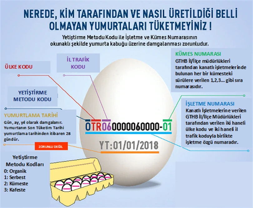 Türkiye'de yumurta kabuğu kodu nasıl okunur: ülke kodu, yetiştirme metodu kodu, il trafik kodu, işletme numarası ve kümes numarası